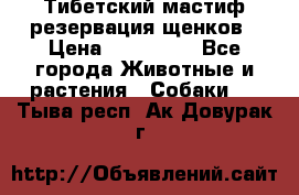 Тибетский мастиф резервация щенков › Цена ­ 100 000 - Все города Животные и растения » Собаки   . Тыва респ.,Ак-Довурак г.